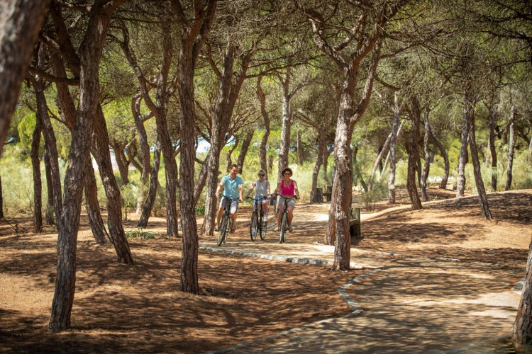 Actividades: paseo en bicicleta Hotel TUI BLUE ISLA CRISTINA PALACE Isla Cristina, Huelva, España